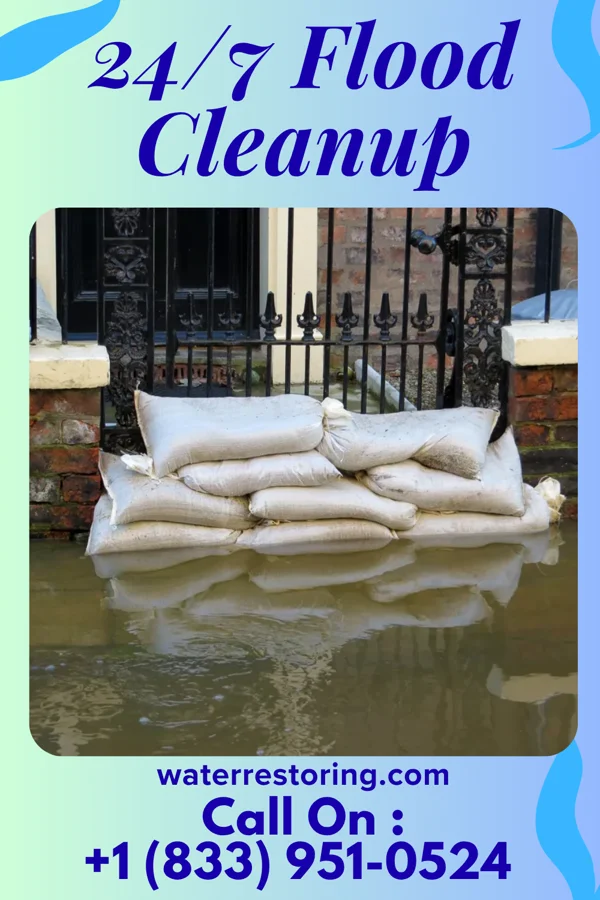 24/7 Flood Cleanup in Grays Prairie, TX