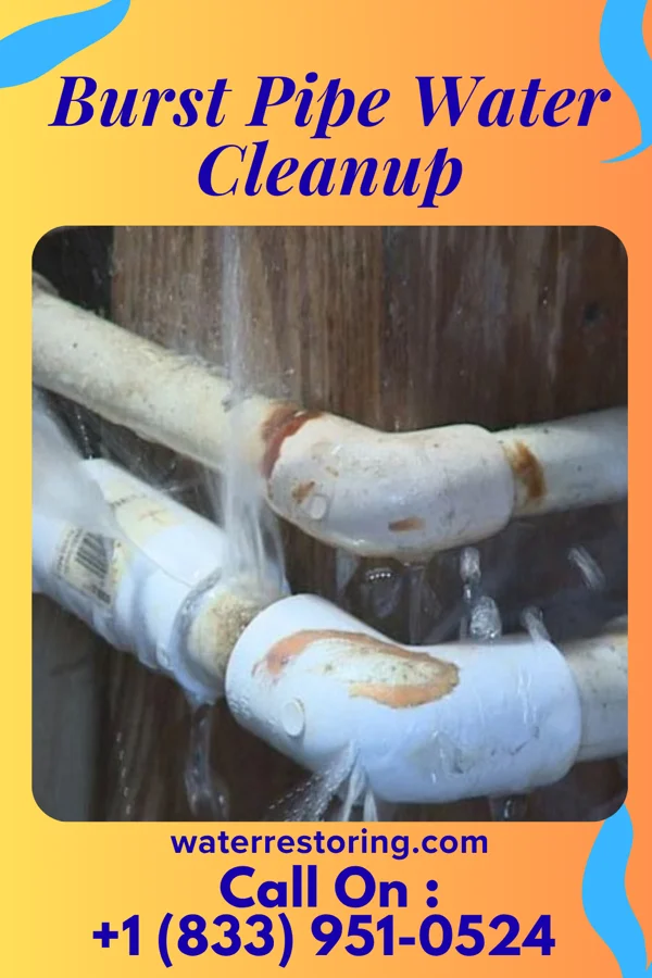 Burst Pipe Water Cleanup in Grays Prairie, TX