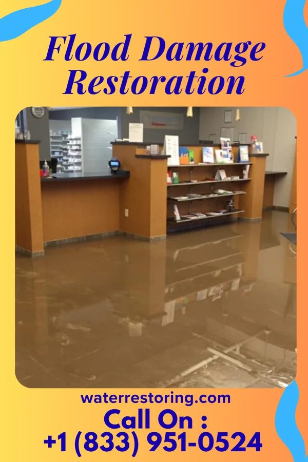 Flood Damage Restoration in Grays Prairie, TX