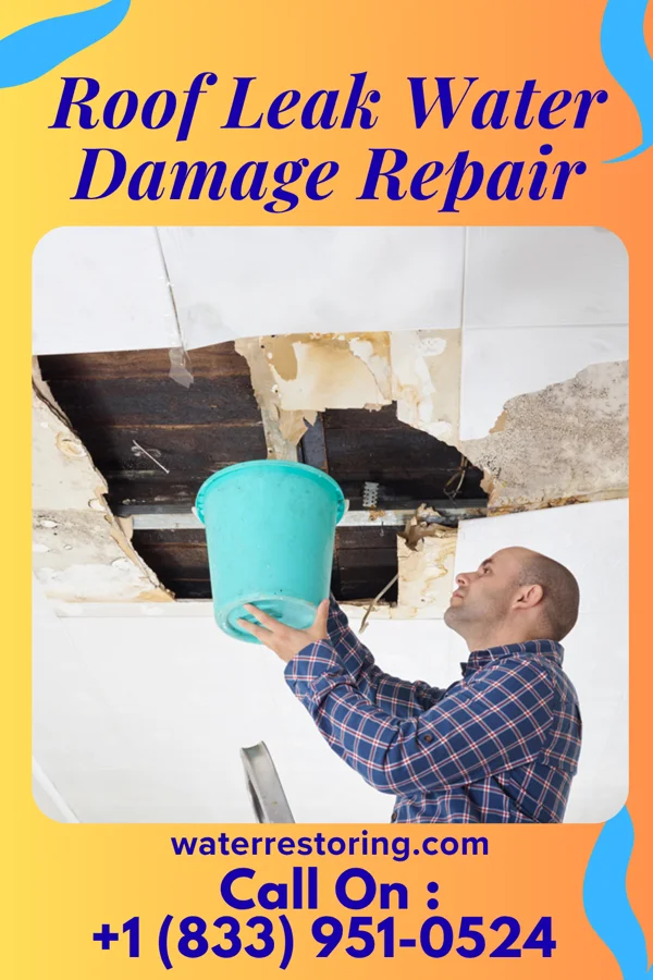 Roof Leak Water Damage Repair in Grays Prairie, TX