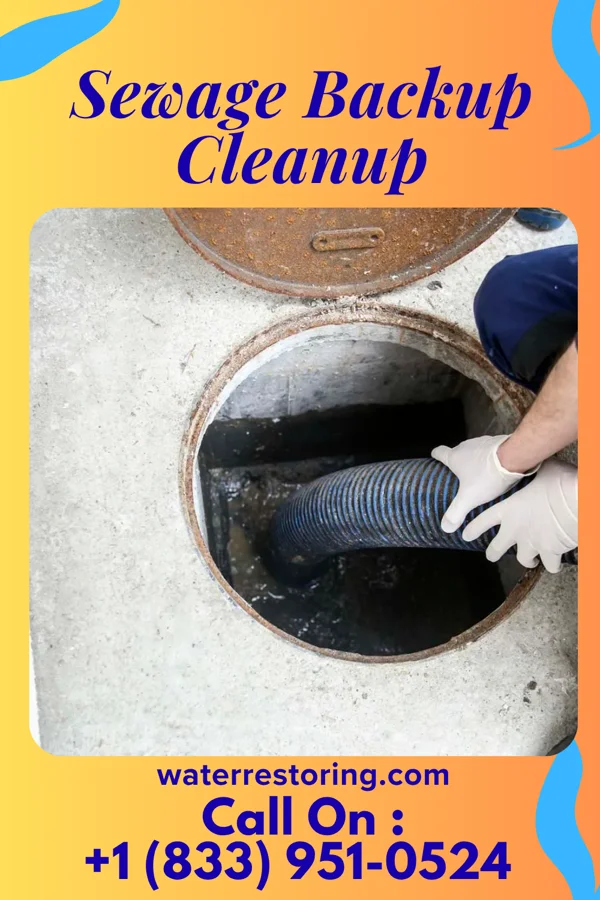 Sewage Backup Cleanup in Grays Prairie, TX